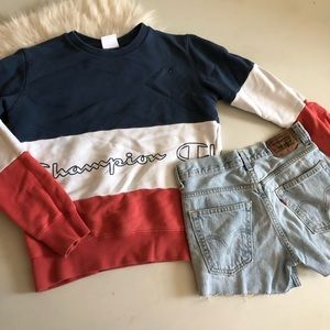 Champion Colorblock Crewneck Sweater
